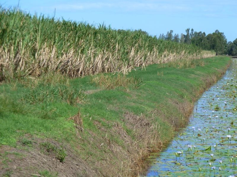 101 3 & 14/ Casurina Drive, Swan Bay NSW 2471