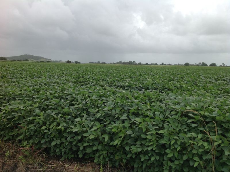 101 3 & 14/ Casurina Drive, Swan Bay NSW 2471