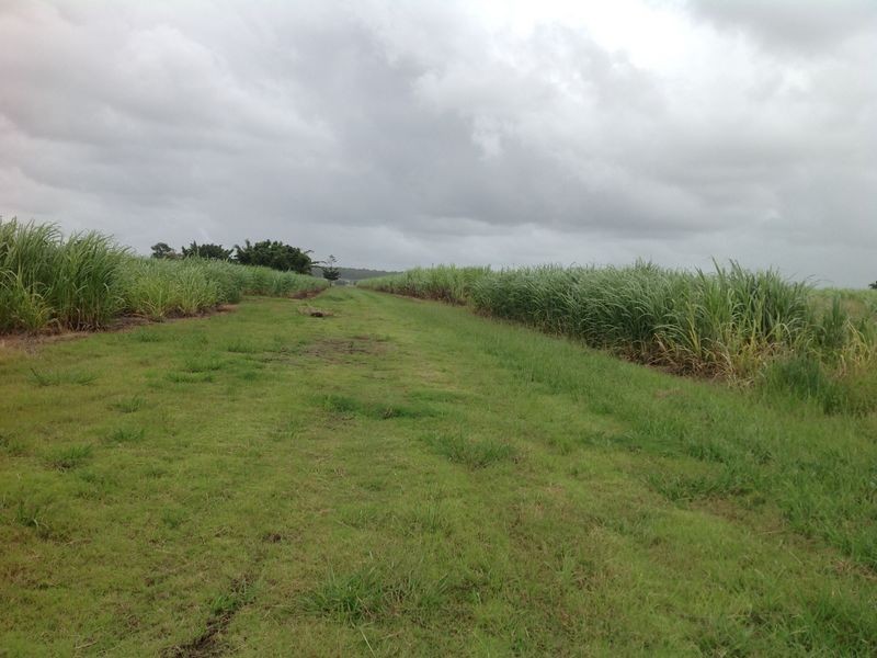 101 3 & 14/ Casurina Drive, Swan Bay NSW 2471