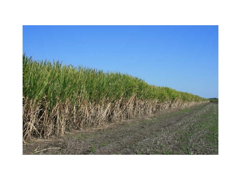 L703 Kilgin Road, Woodburn NSW 2472