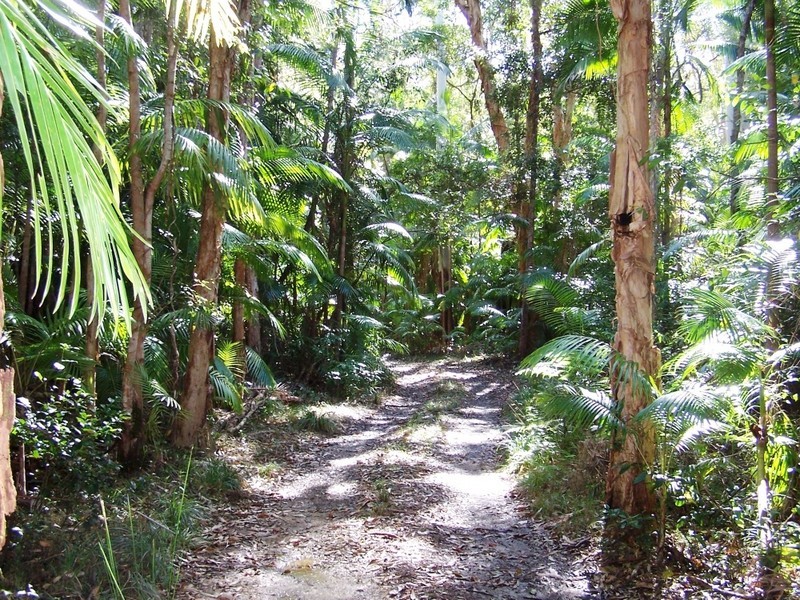 620 The Gap Road, Woodburn NSW 2472