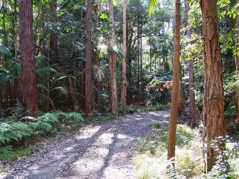 620 The Gap Road, Woodburn NSW 2472