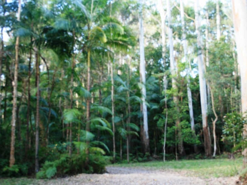 620 The Gap Road, Woodburn NSW 2472