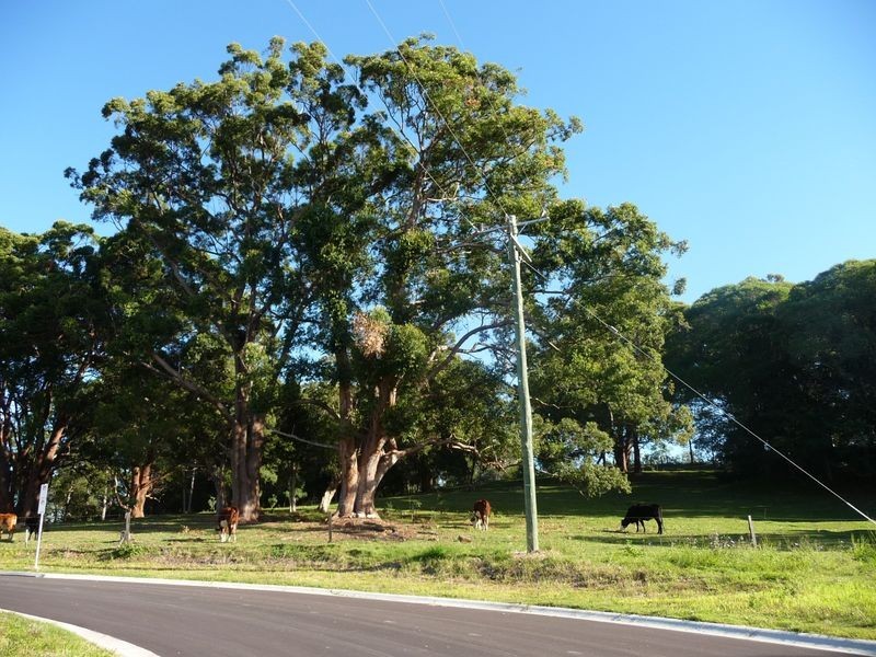 Lot 6/ Hills Road, Rileys Hill NSW 2472