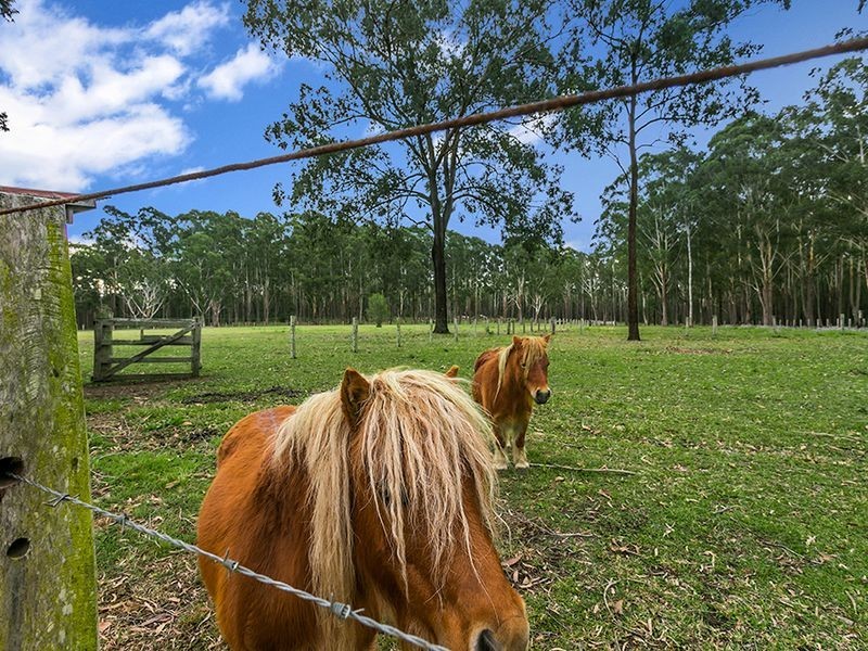 1279 Swan Bay New Italy Road, Swan Bay NSW 2471