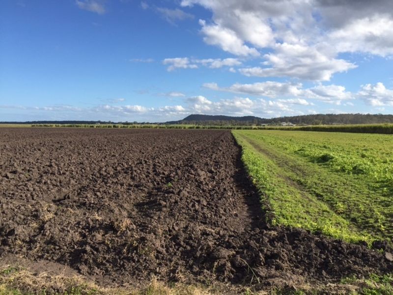 195 Reardons Lane, Swan Bay NSW 2471