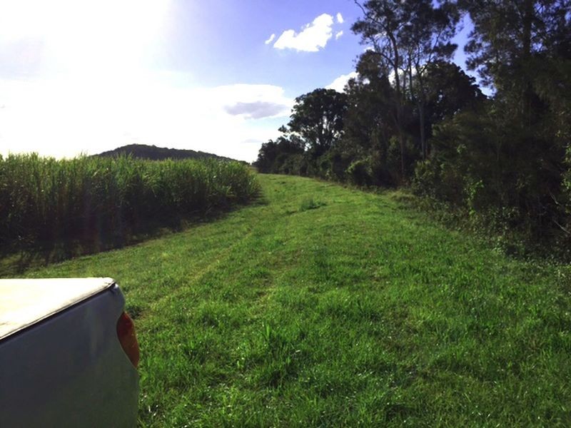 195 Reardons Lane, Swan Bay NSW 2471