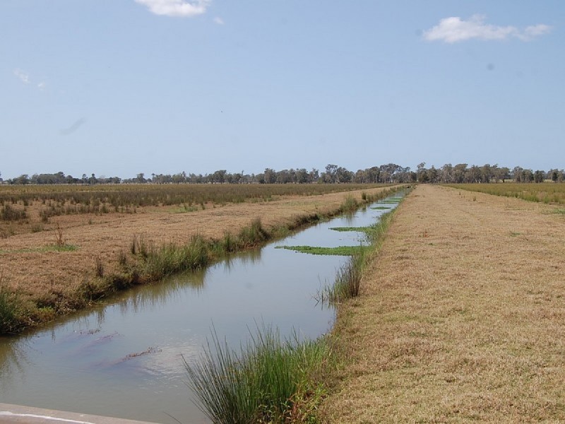 1 Boyters Lane, Woodburn NSW 2472