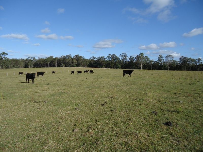 Lot 48 & 49/915 Swan Bay New Italy Road, New Italy NSW 2472