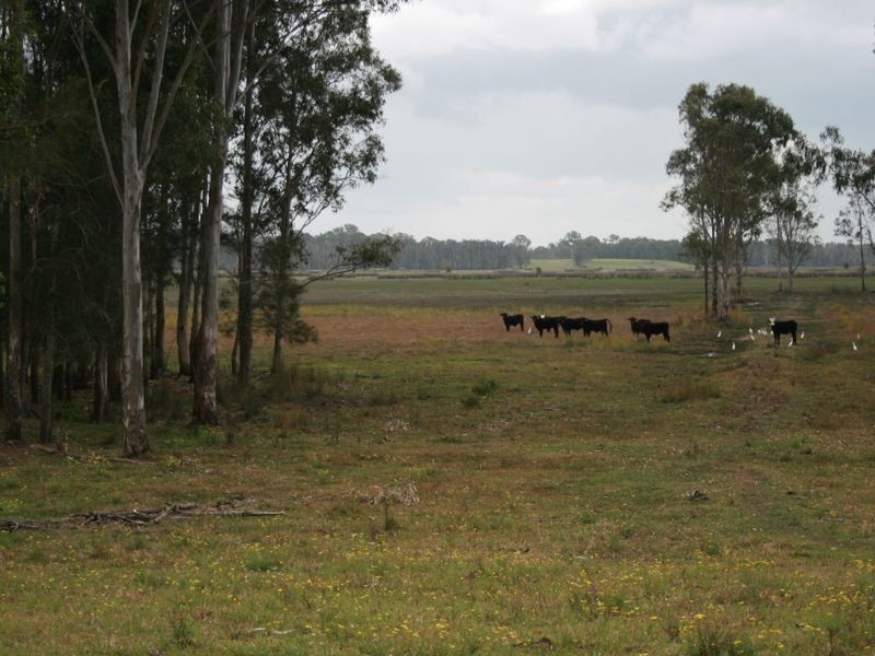 Lot 48 & 49/915 Swan Bay New Italy Road, New Italy NSW 2472