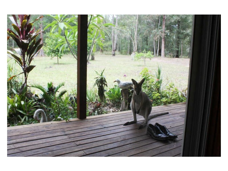 Serendipity Road, Tabbimoble NSW 2472