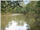 1 Neileys Lagoon Road, Bungawalbin NSW 2469