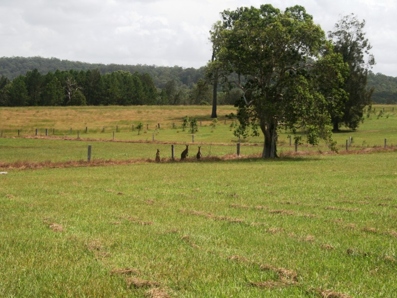 Lot 14/249 Reardons Lane, Swan Bay NSW 2471