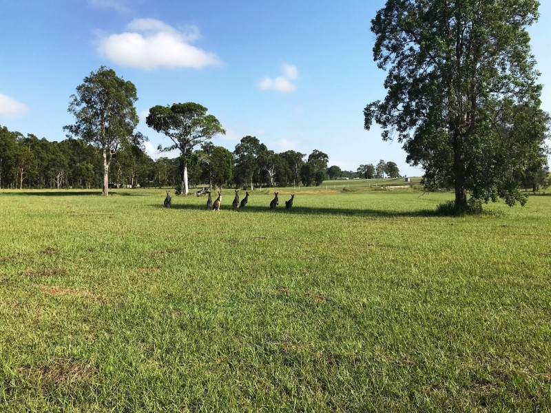 Lot 14/249 Reardons Lane, Swan Bay NSW 2471