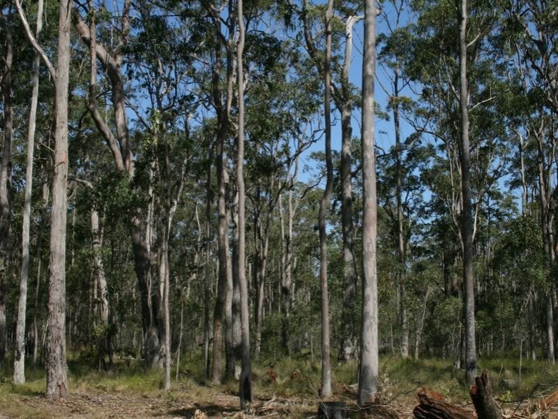 209 Serendipity Road, Tabbimoble NSW 2472