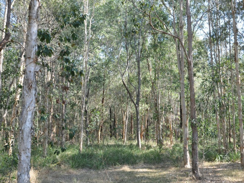 40 Forest Road, New Italy NSW 2472