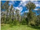 Lot 79 DP755691 & Lot 4/DP 115383 Old Bagotville Road, Bagotville NSW 2477