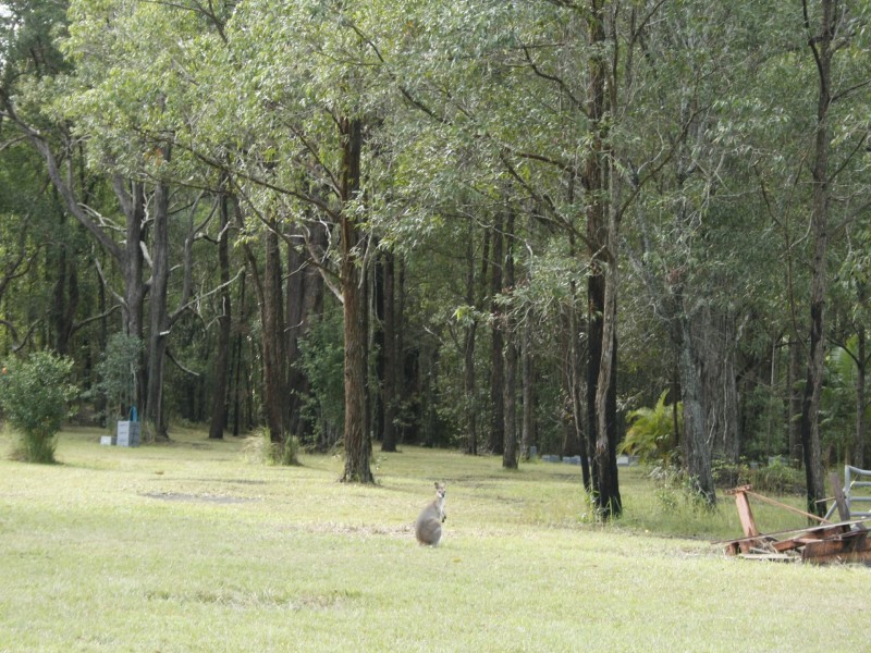 Lot 3 Whites Road, Woodburn NSW 2472