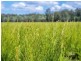 2670 Bungawalbin Whiporie Rd, Gibberagee NSW 2469