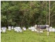 2670 Bungawalbin Whiporie Rd, Gibberagee NSW 2469