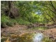2670 Bungawalbin Whiporie Rd, Gibberagee NSW 2469