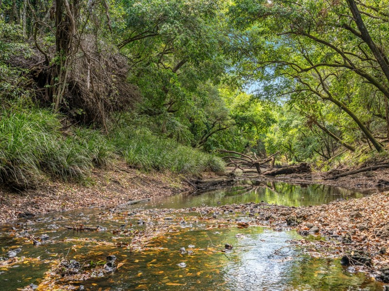 2670 Bungawalbin Whiporie Rd, Gibberagee NSW 2469