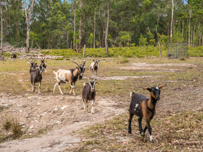 8120 Pacific Highway, New Italy NSW 2472