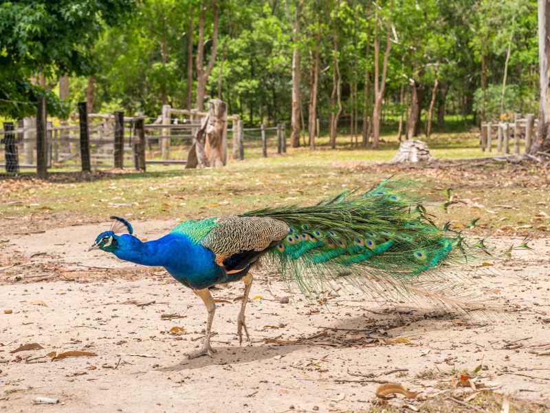 8120 Pacific Highway, New Italy NSW 2472