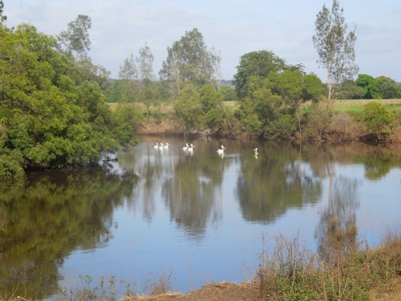 260 Bungawalbin Whiporie Road, Bungawalbin NSW 2469