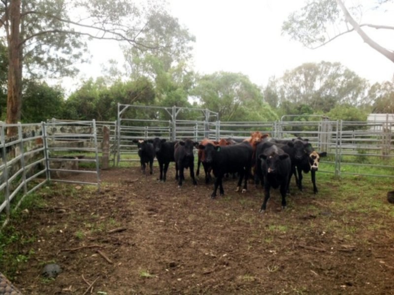 260 Bungawalbin Whiporie Road, Bungawalbin NSW 2469
