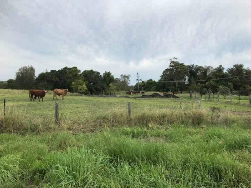 260 Bungawalbin Whiporie Road, Bungawalbin NSW 2469