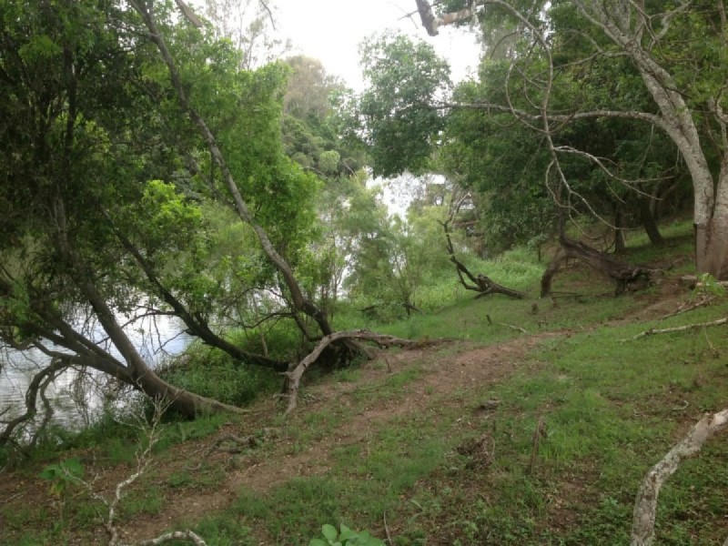 260 Bungawalbin Whiporie Road, Bungawalbin NSW 2469