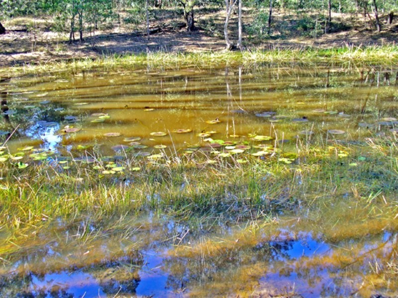 122,123,11 Boltens Flat, New Italy NSW 2472