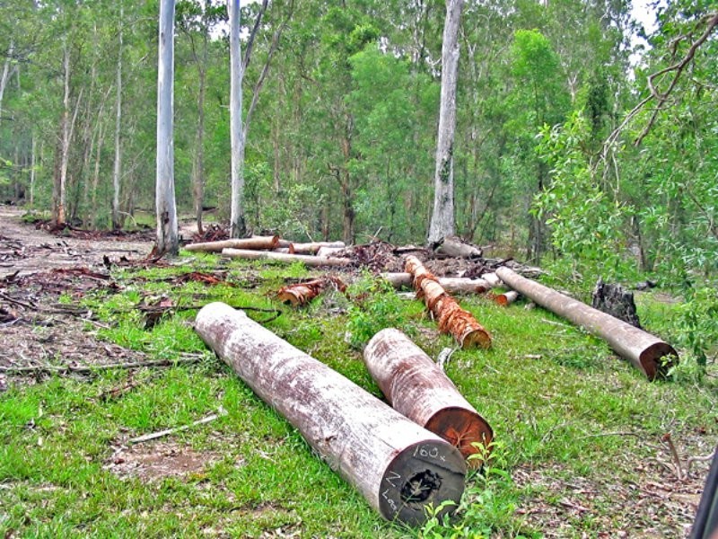 122,123,11 Boltens Flat, New Italy NSW 2472