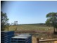60 Eucalypt Drive, Swan Bay NSW 2471