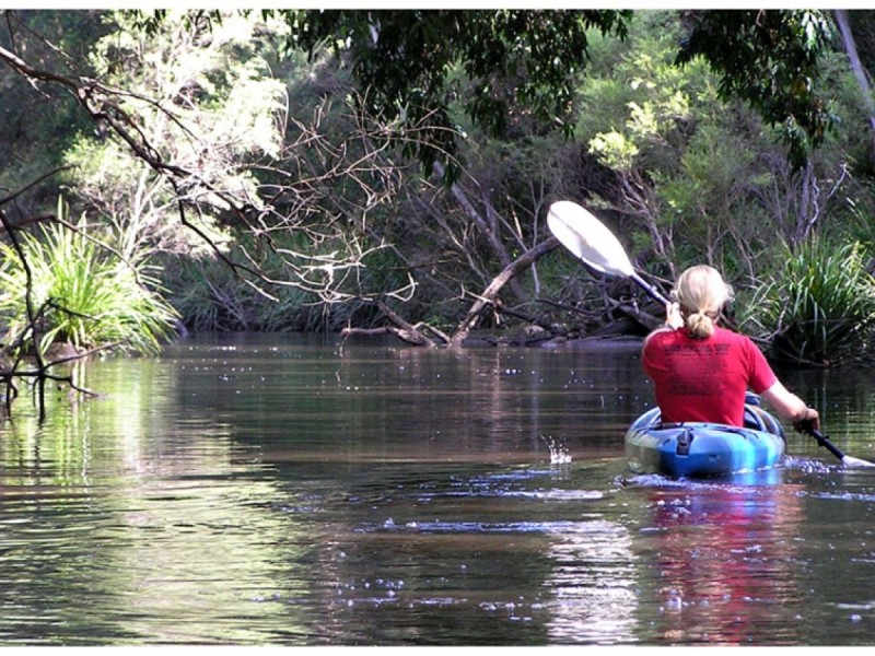 1730 Bungawalbin Whiporie Road, Bungawalbin NSW 2469