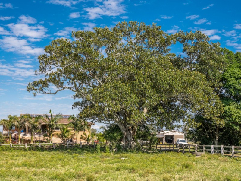 160 Bungawalbin Whiporie Road, Bungawalbin NSW 2469