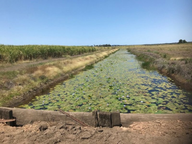 65 Eucalypt Drive, Swan Bay NSW 2471