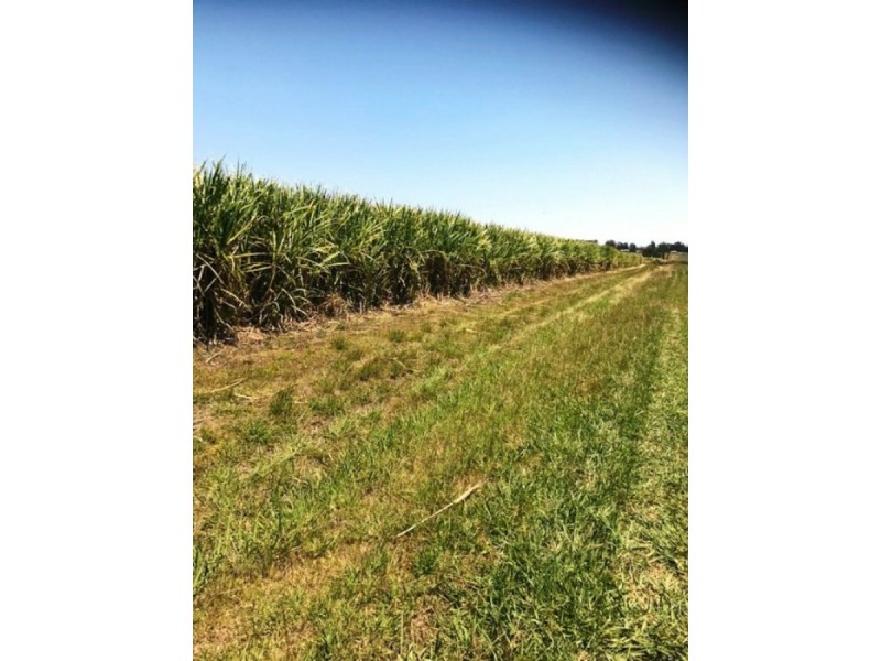 65 Eucalypt Drive, Swan Bay NSW 2471