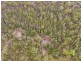 7177 Pacific Highway, Tabbimoble NSW 2472