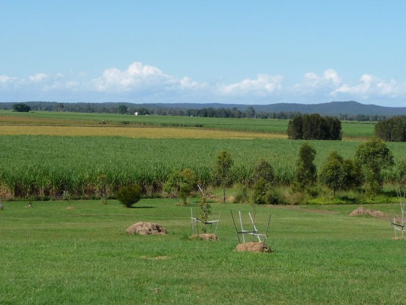 31 Casurina Drive, Swan Bay NSW 2471