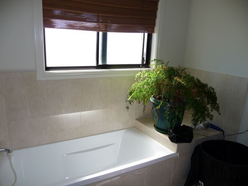 31 Casurina Drive, Swan Bay NSW 2471