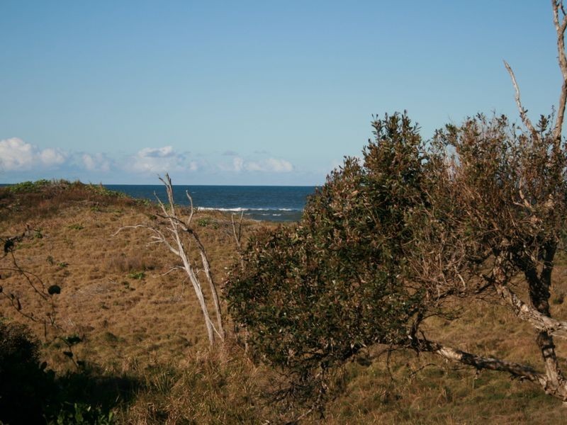 19 Terrace Street, Evans Head NSW 2473