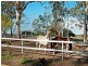 295 Reardons Lane, Swan Bay NSW 2471