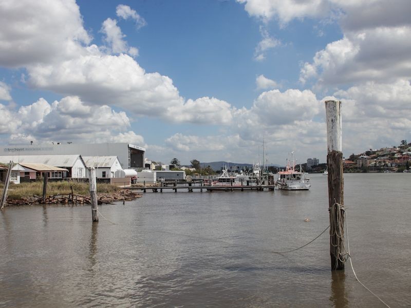 31 Byron Street, Bulimba QLD 4171