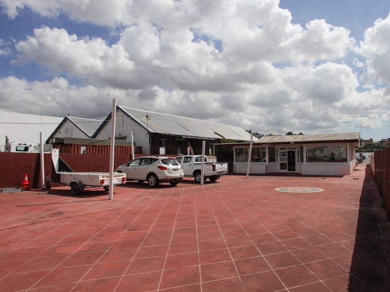 31 Byron Street, Bulimba QLD 4171