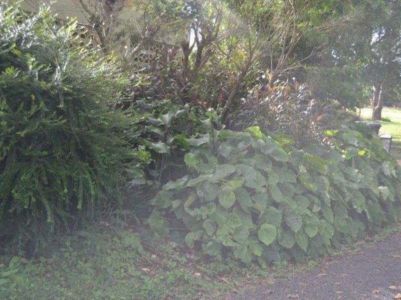 64 – 72 Mountain View Drive, Atherton QLD 4883
