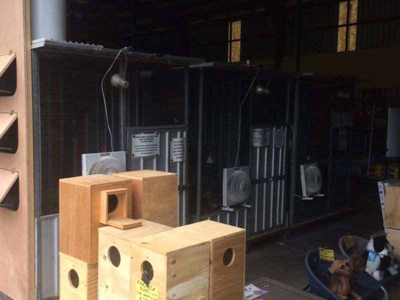 96a Sherbrooke Road, Willawong QLD 4110