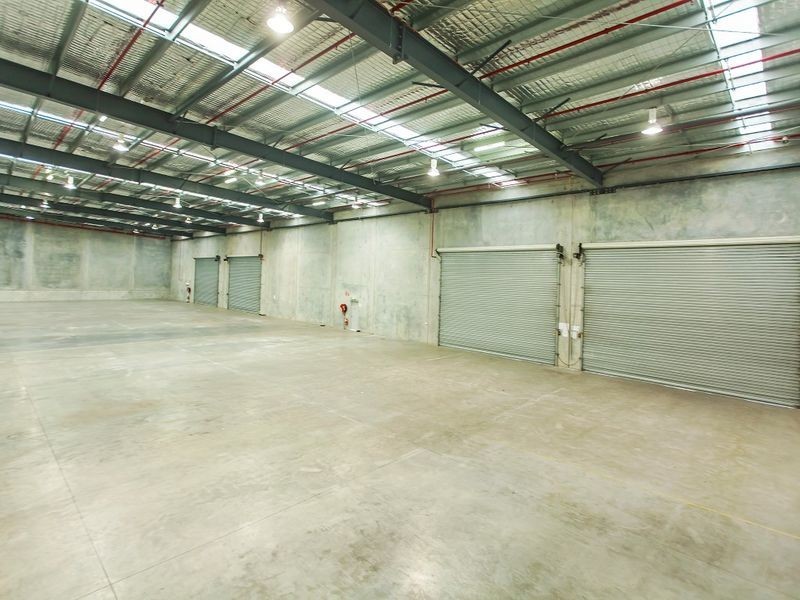 8 Blanck Street, Ormeau QLD 4208