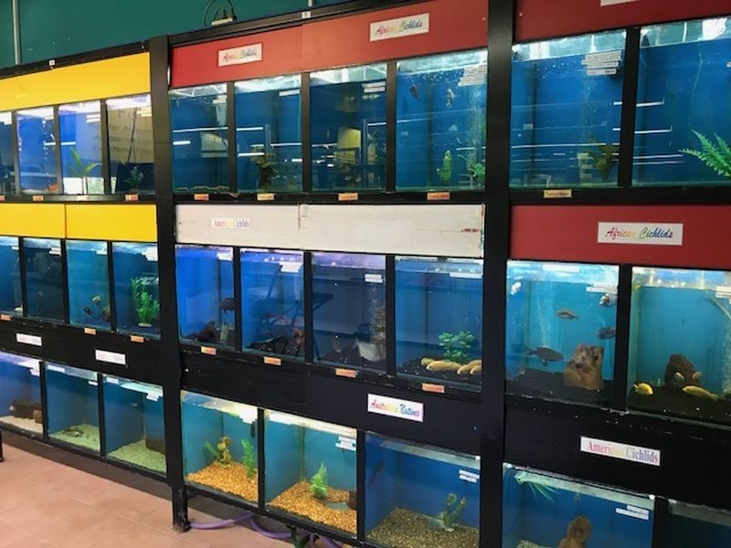 Shop/4/65 Grand Plaza Drive, Browns Plains QLD 4118